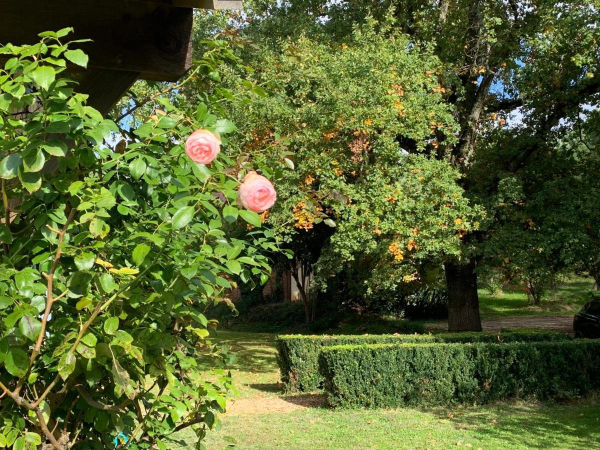 Majellon Grand Appartement Sainte-Christie-d'Armagnac Esterno foto
